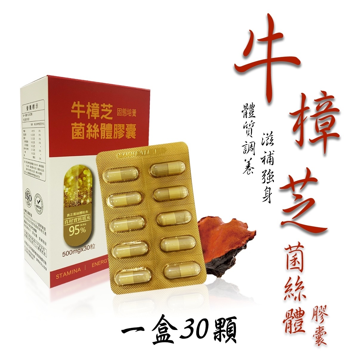 台灣保健品 牛樟芝固態菌絲體膠囊（K3 TZ839）