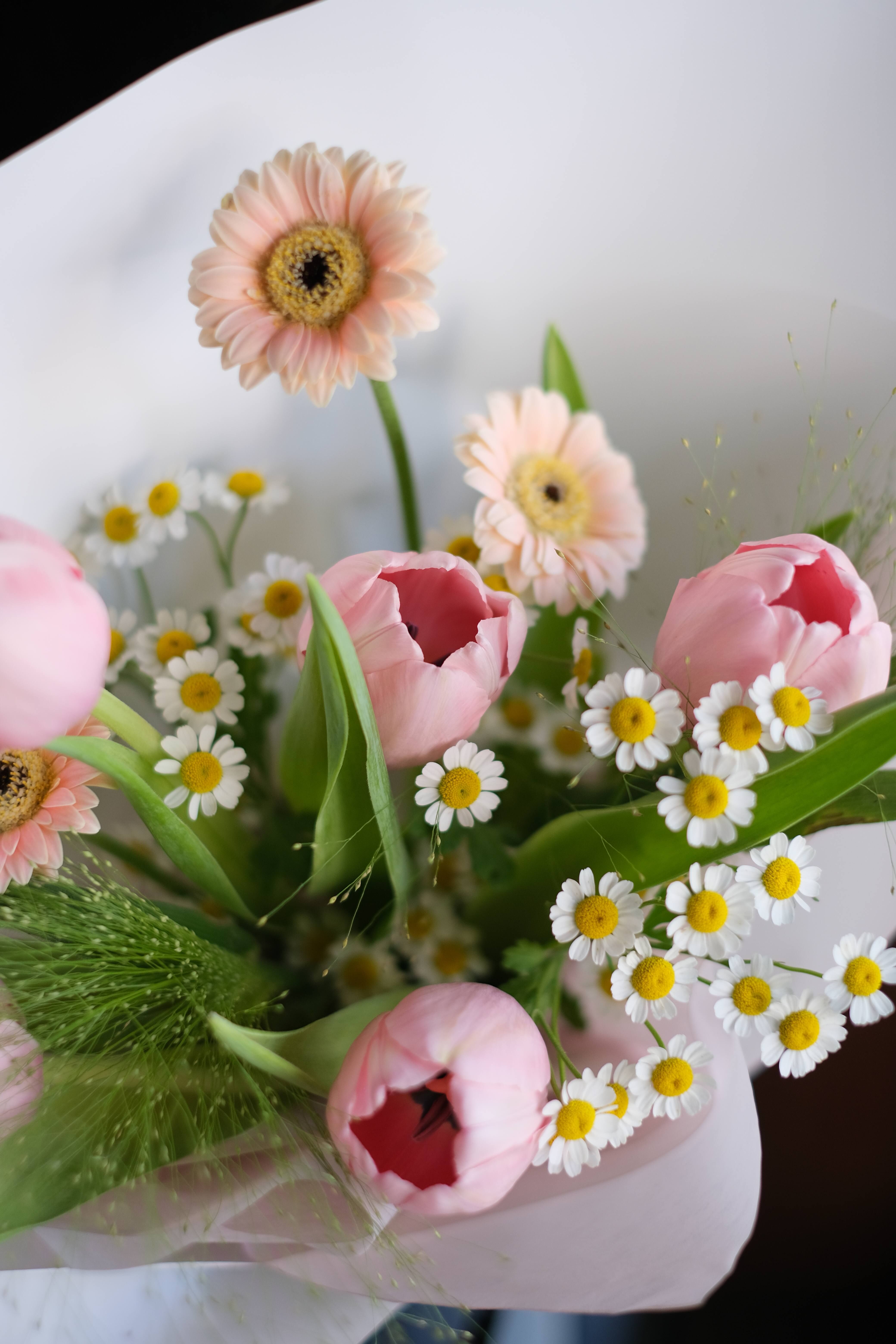 春日花園｜鬱金香花束