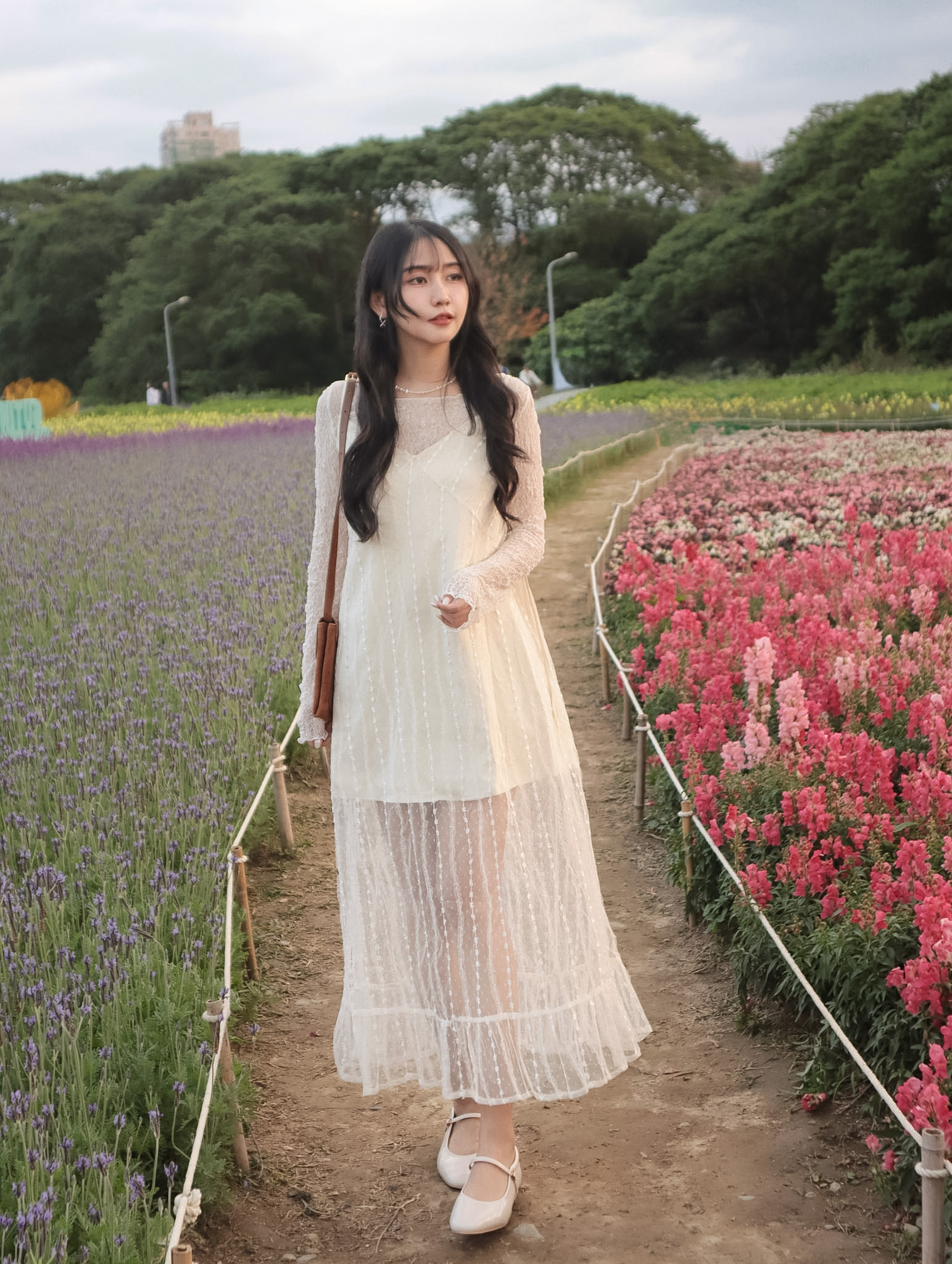 26B203 本期推薦! 細光閃閃波浪蕾絲綁長洋 (也可當內搭)