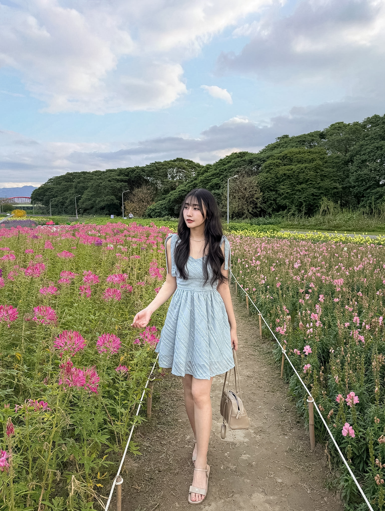 26B204 布拉格假期_肩膀蝴蝶結蕾絲紋雪紡縮腰顯瘦小洋裝/短洋