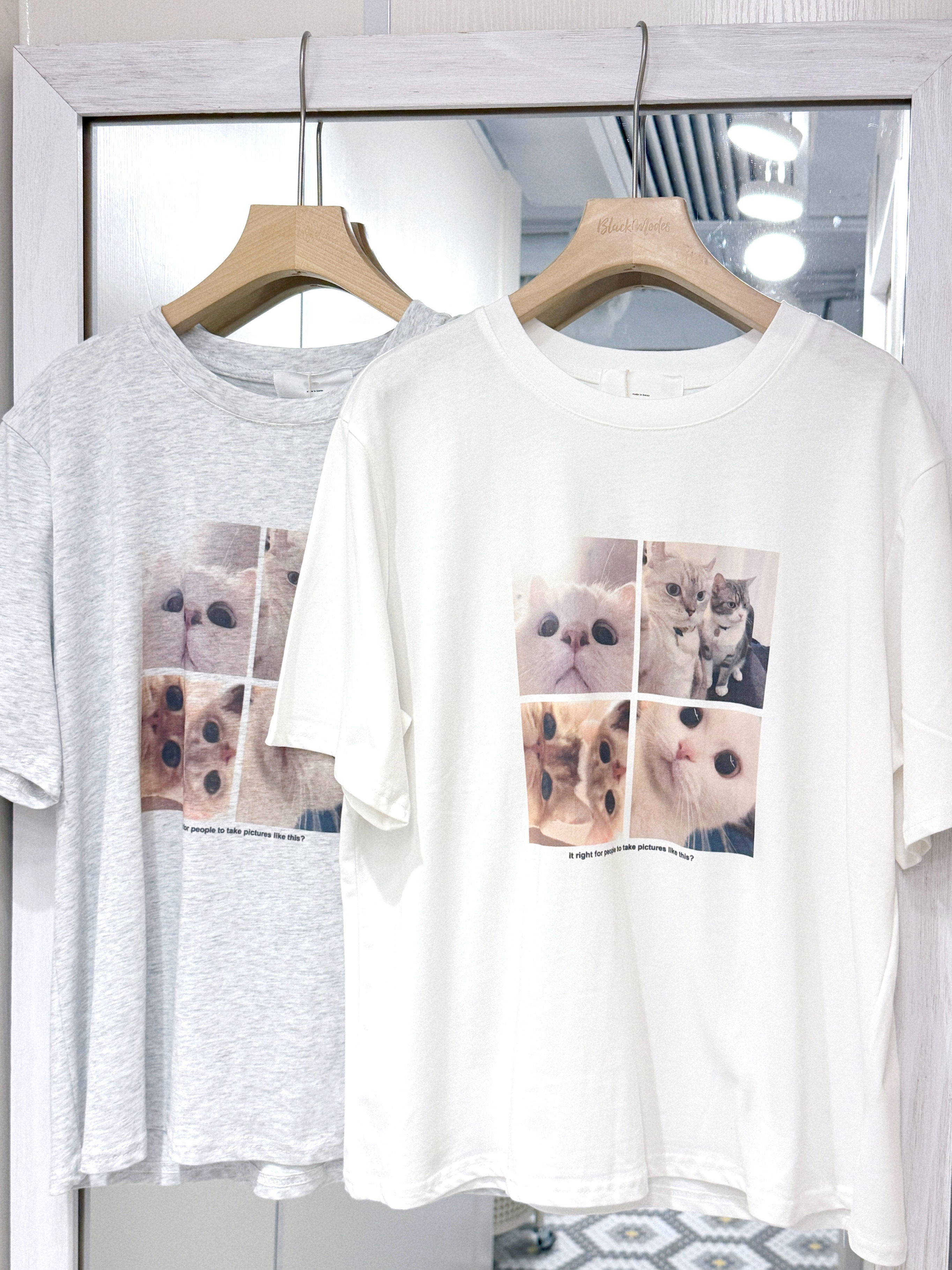 T1322｜4格圓滾滾眼睛可愛貓貓圖TEE⌯⦁ᴥ⦁⌯