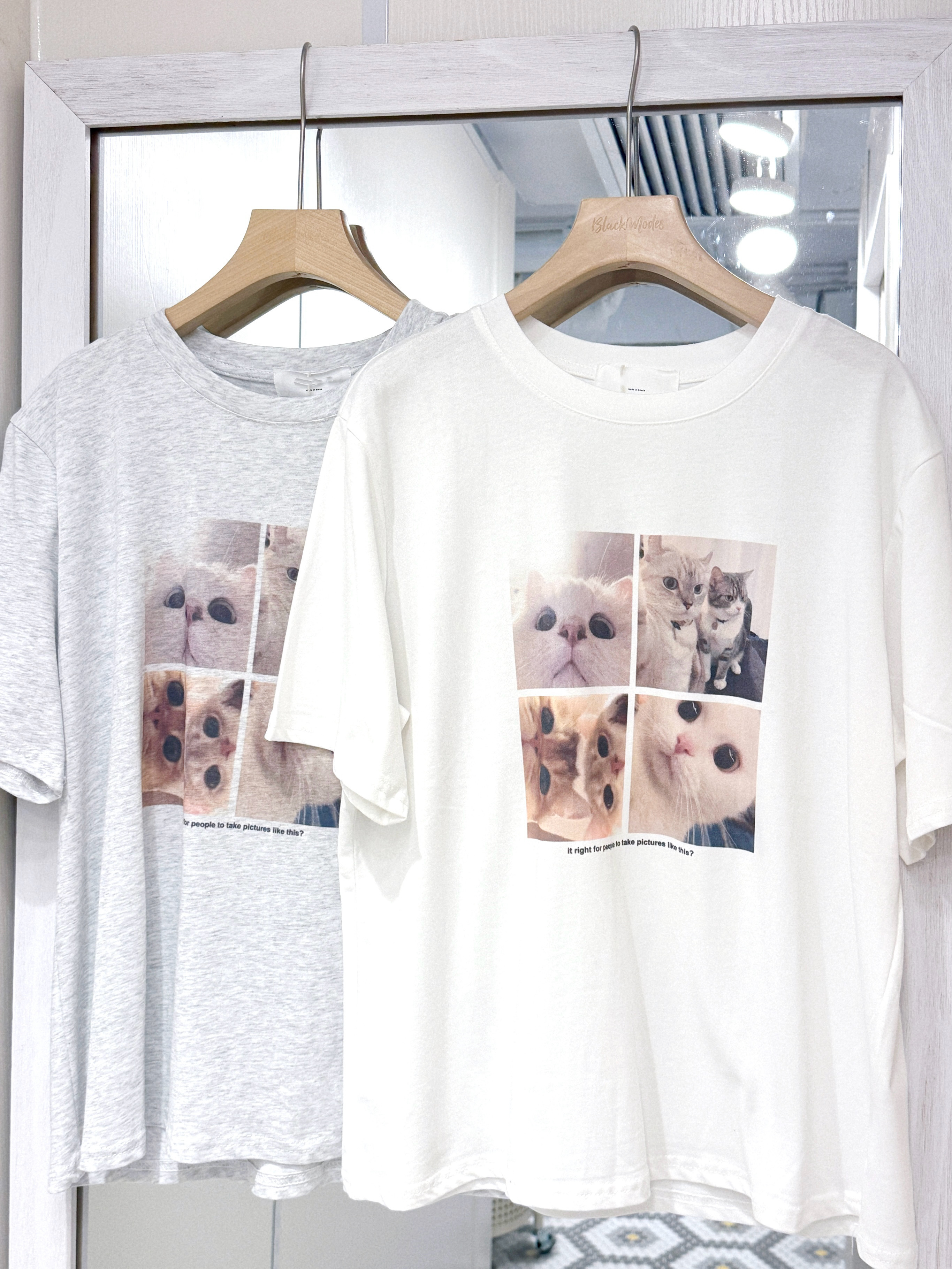 T1322｜4格圓滾滾眼睛可愛貓貓圖TEE⌯⦁ᴥ⦁⌯