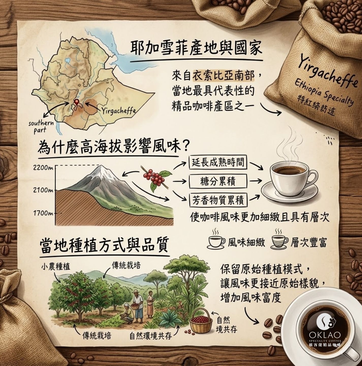 耶加雪菲 耶加雪菲咖啡 耶加雪菲咖啡沖煮 耶加雪菲手沖 耶加雪菲價格 耶加雪菲日曬 耶加雪菲水洗 耶加雪菲風味 歐客佬咖啡 精品咖啡 精品咖啡豆 掛耳咖啡 咖啡禮盒