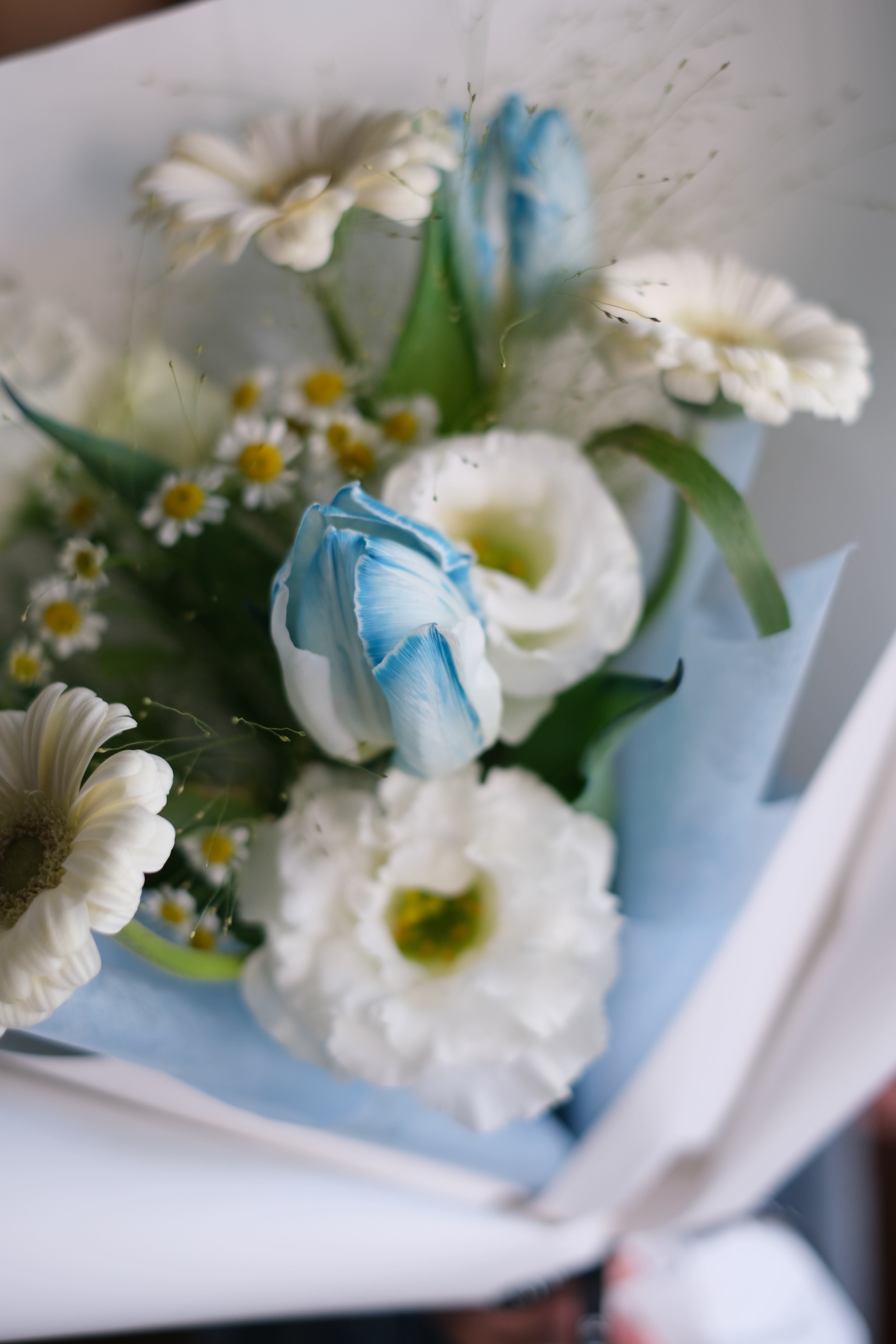 春日晴空｜鬱金香花束