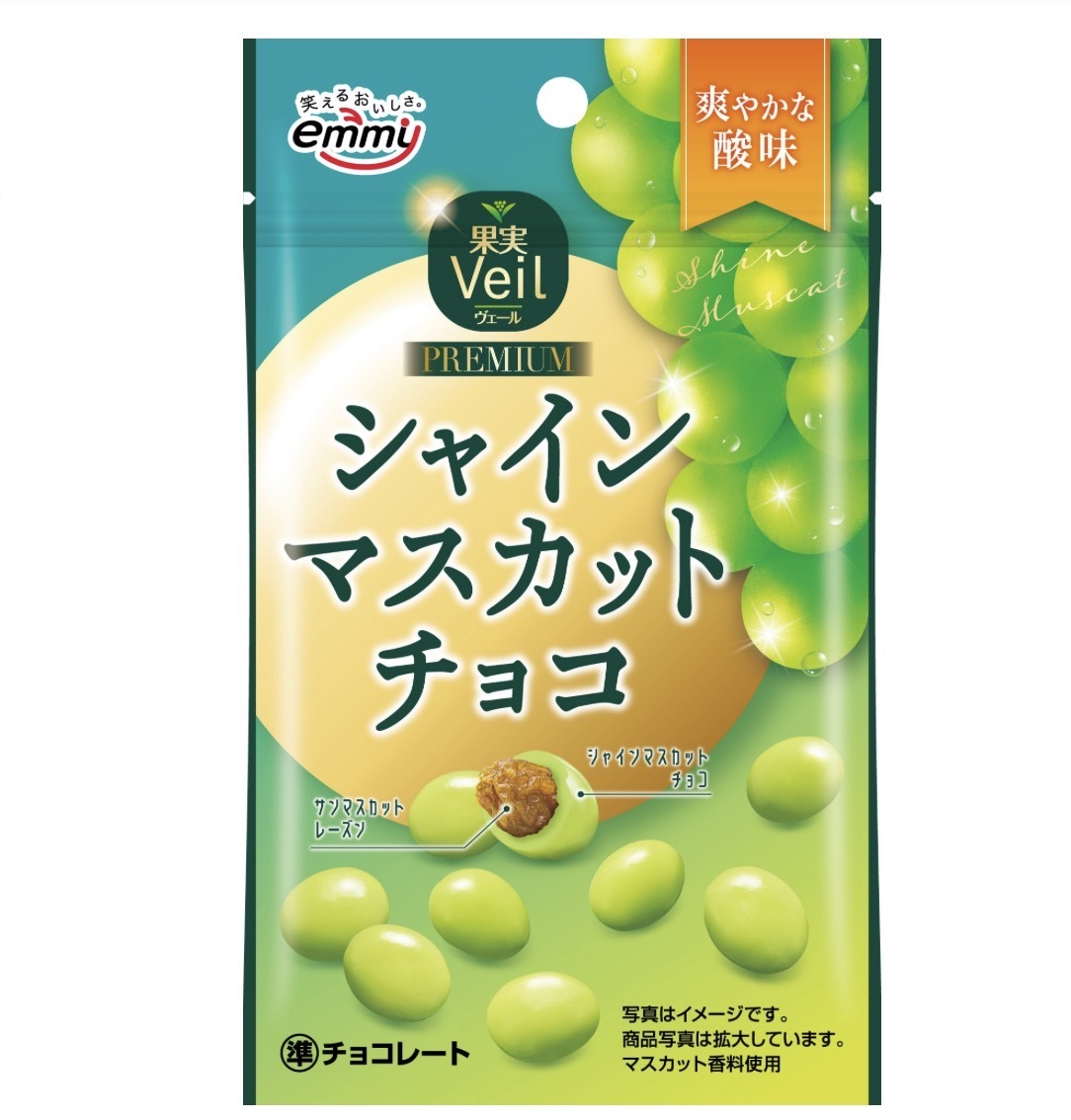 JP 雙重香印提子乾朱古力 37g 4254 TK260319