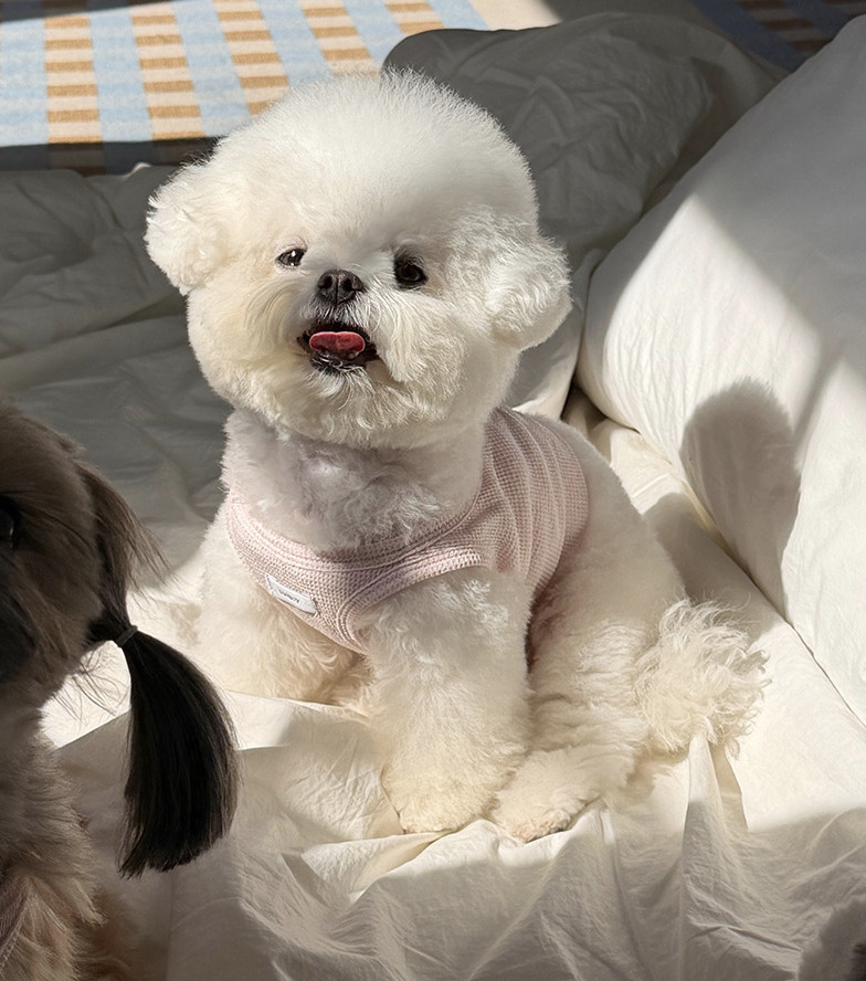 閃亮無袖背心 (粉)