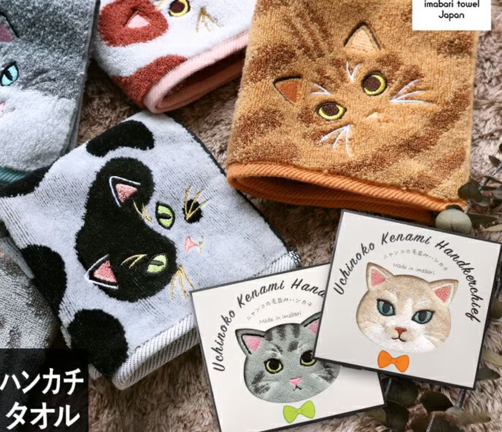 (預購商品) 日本 Uchinoko 我家貓咪 毛巾