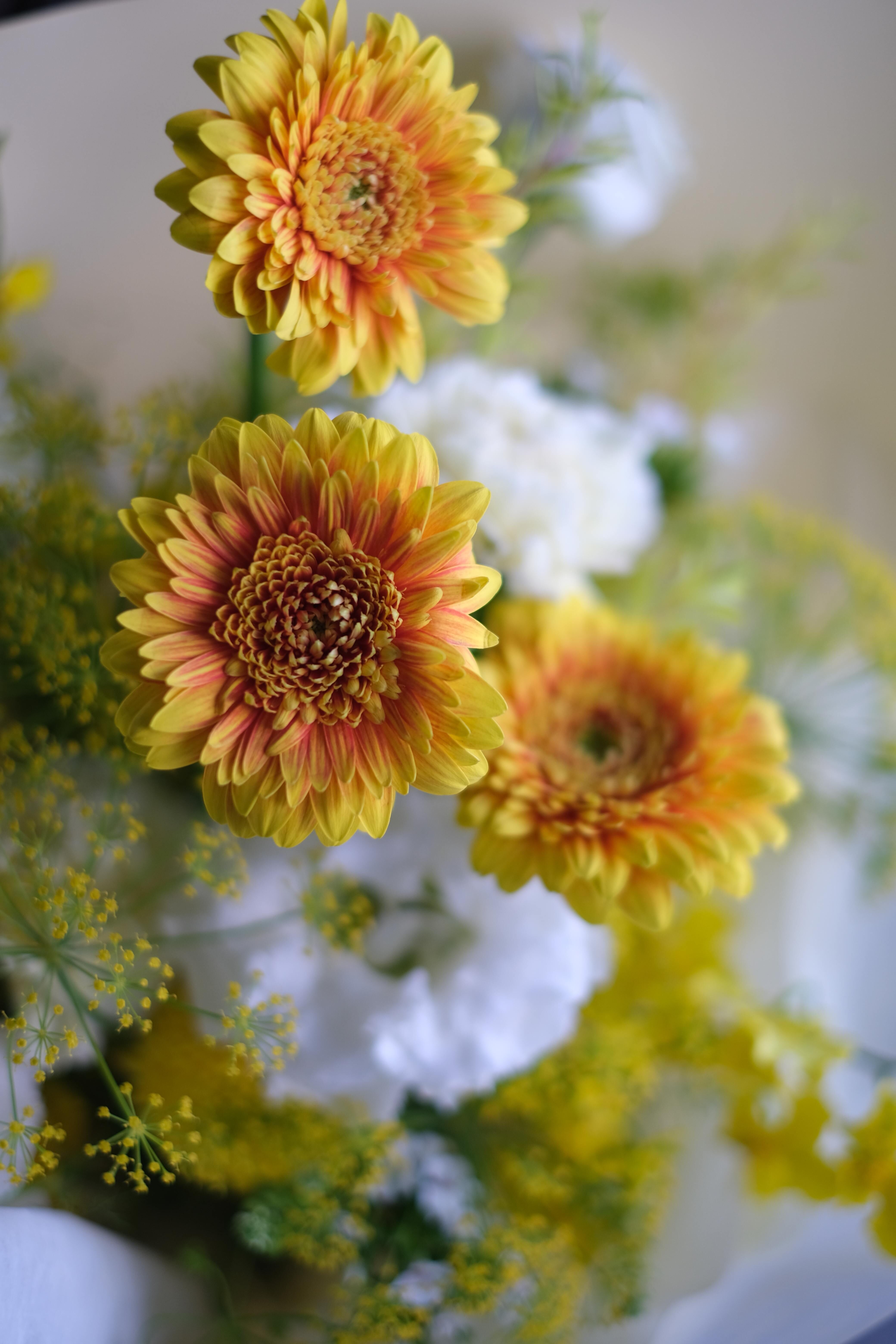 與光前行｜暖黃系花束