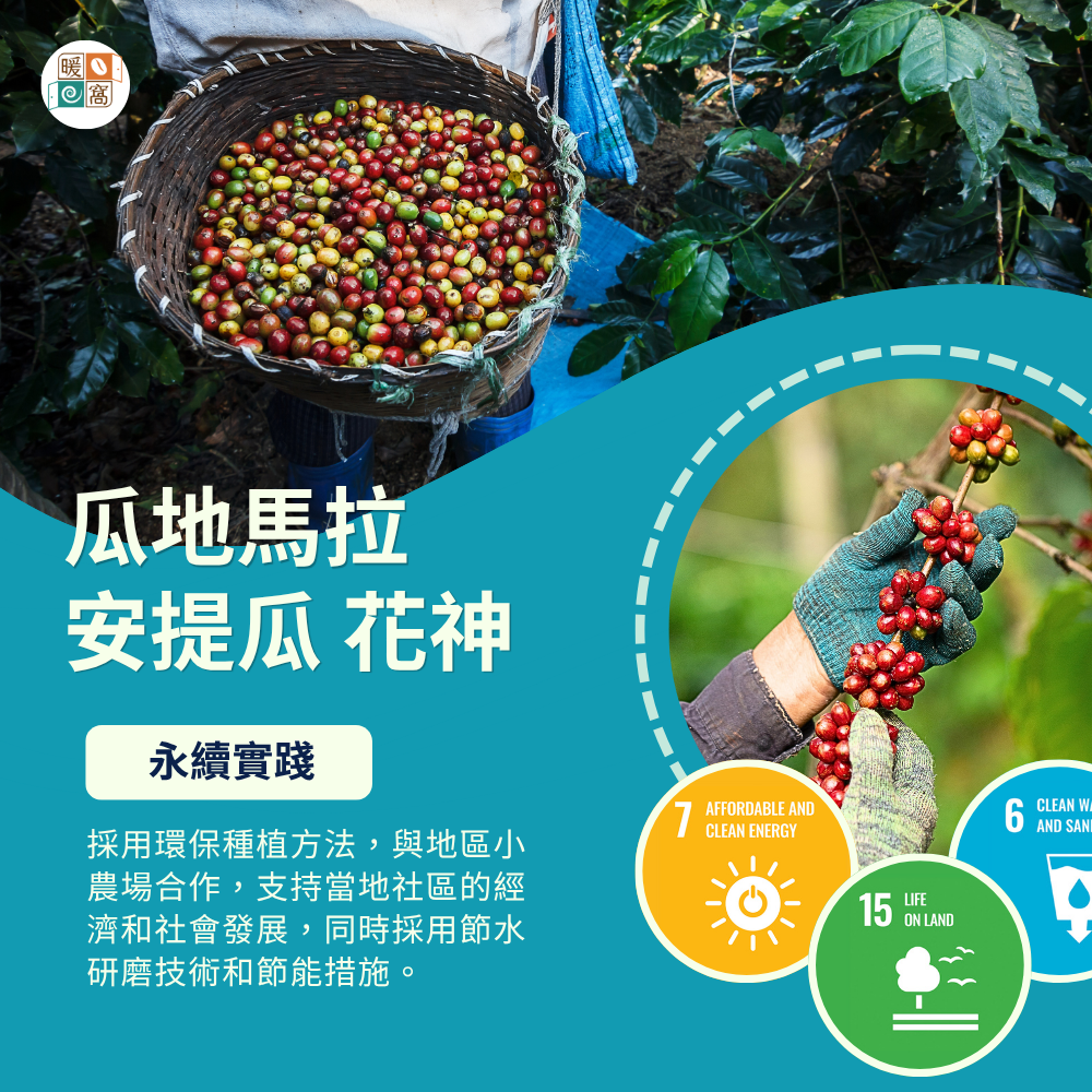 瓜地馬拉 安提瓜 花神 咖啡的永續實踐