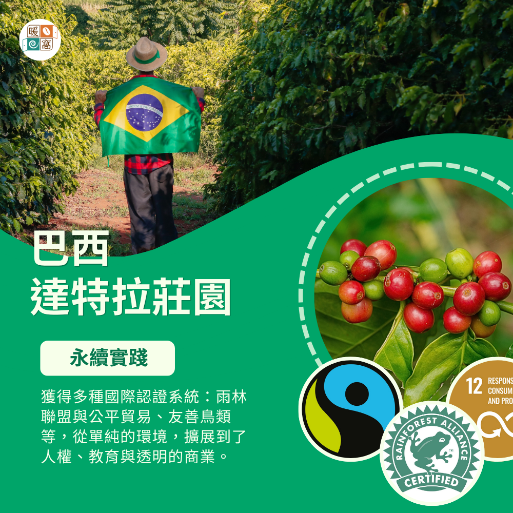 巴西 達特拉莊園  咖啡的永續實踐