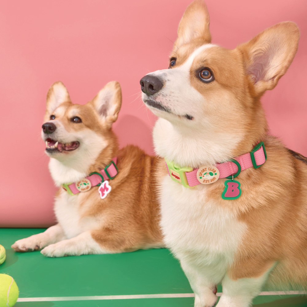 doggu 運動俱樂部防水抗污項圈