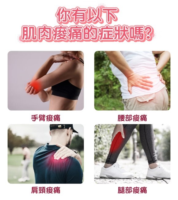 USB筋膜震動按摩槍 (WB-M18HU) (預購)