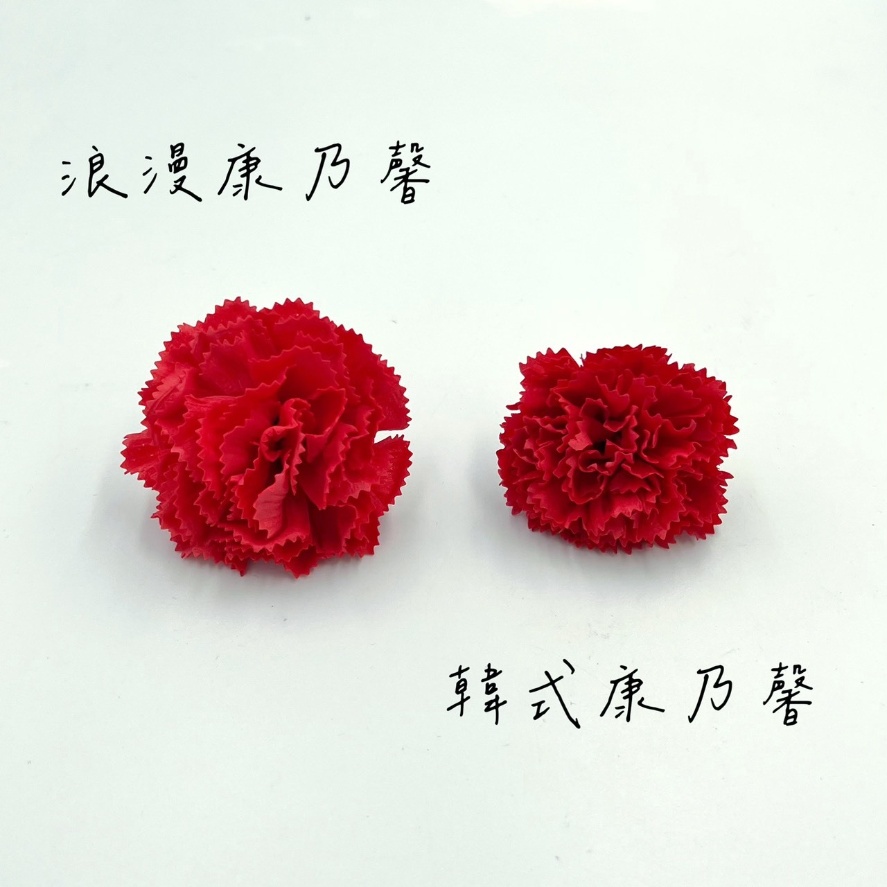 浪漫康乃馨肥皂花 (50入)