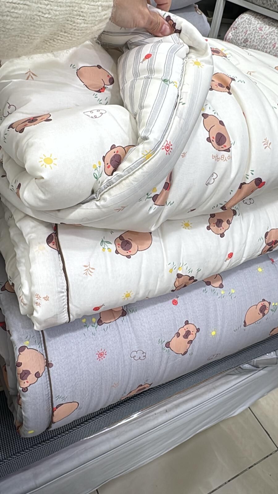 [韓國棉被] 天絲莫代爾・栗米棉填充｜可愛水豚君 四季被 2色（關鍵字：GJ53）