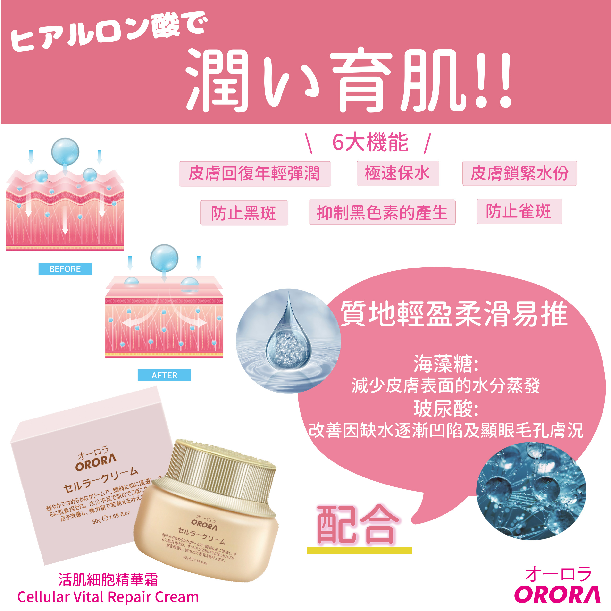 (R) ORORA活肌細胞精華霜 50G- 日本ORORA #2704OR