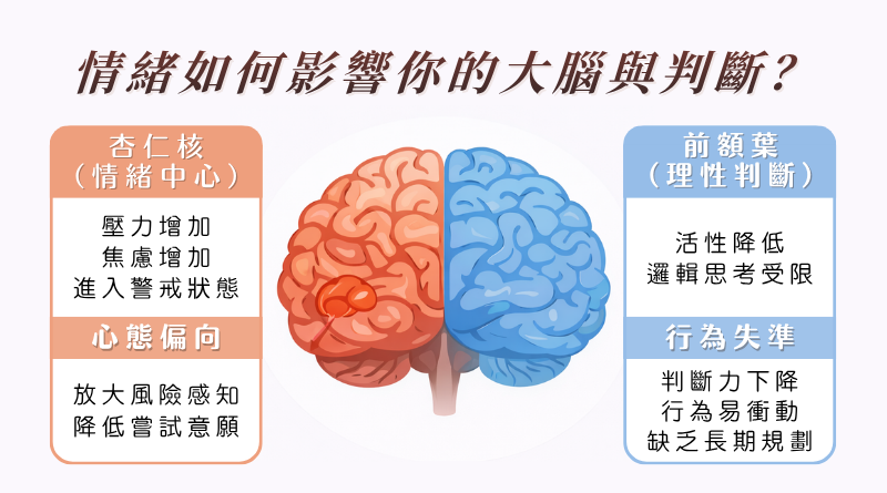 情緒如何影響大腦與判斷 杏仁核與前額葉決策機制解析