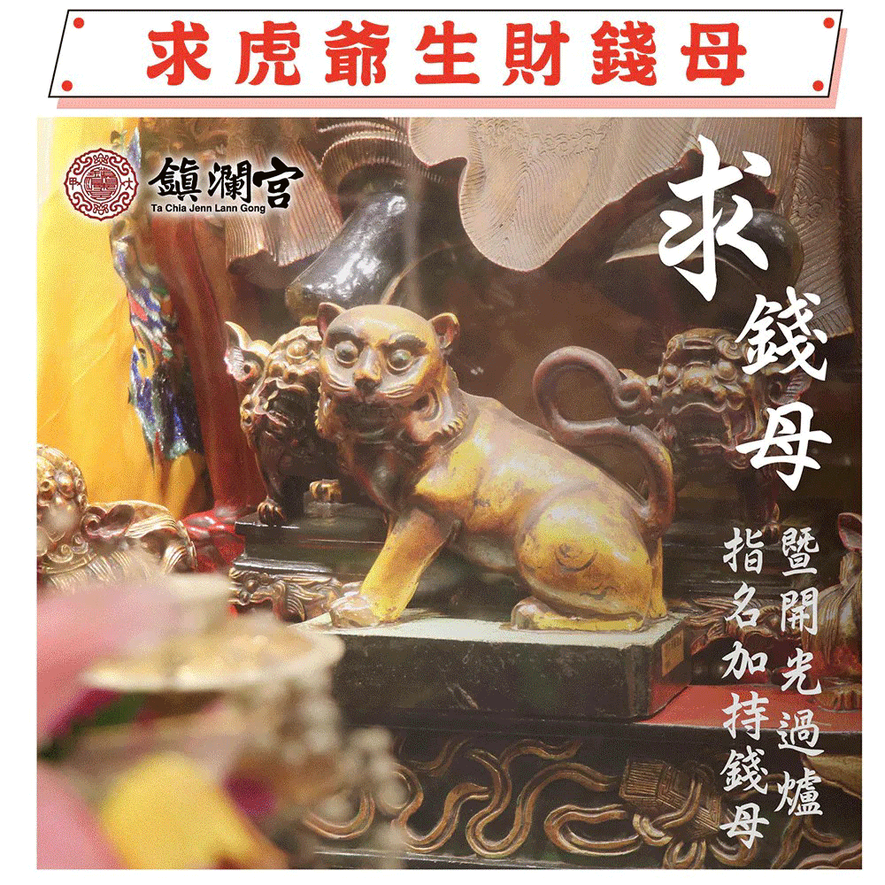 《招財進寶求虎爺錢母》虎爺咬錢錢母生財發財三件組│招財鎮宅│開光過爐雙加持（數量有限，售完為止）【鎮瀾宮】