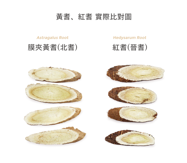 黃耆與紅耆片 正對擺放對比差異