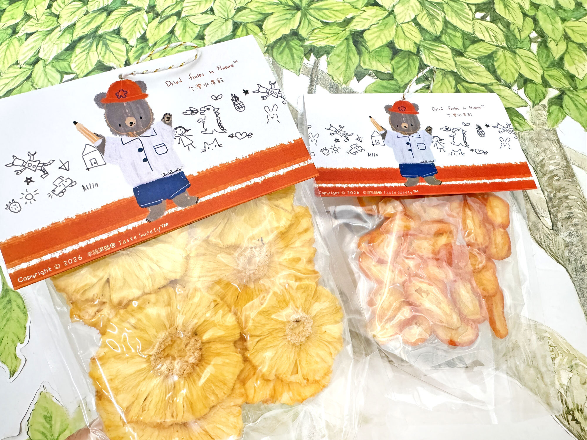 塗鴉學生熊水果乾獨享包