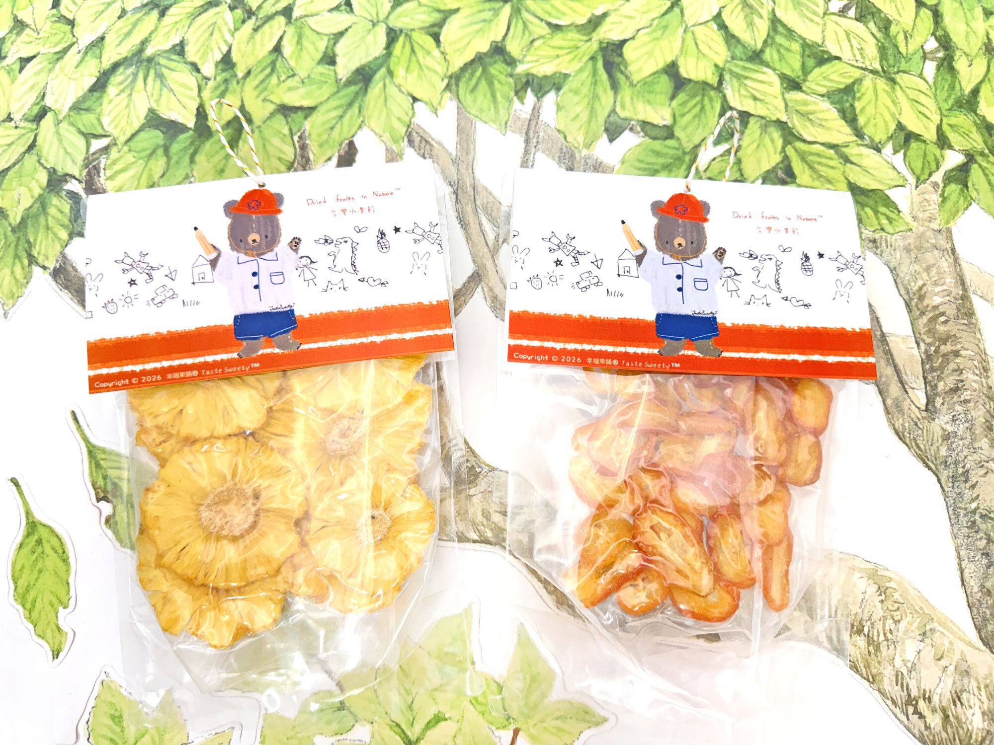 塗鴉學生熊水果乾獨享包