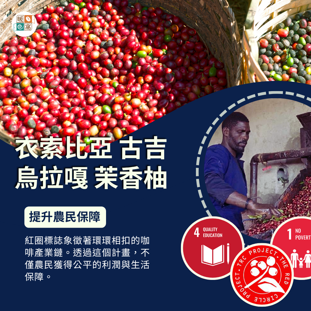 衣索比亞 古吉 烏拉嘎 茉香柚處理場 紅圈計畫 咖啡永續實踐