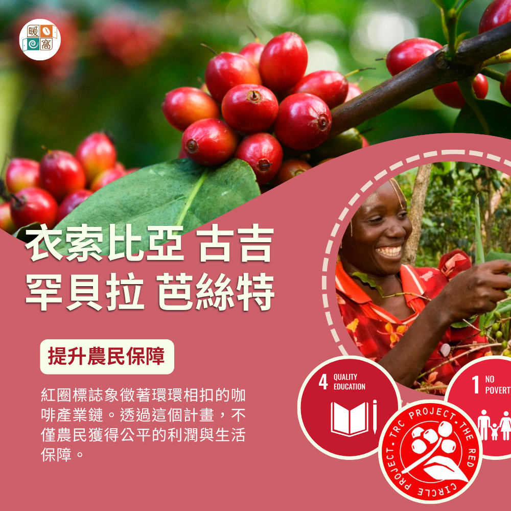 衣索比亞 古吉 罕貝拉 芭絲特 紅圈計畫 咖啡永續實踐