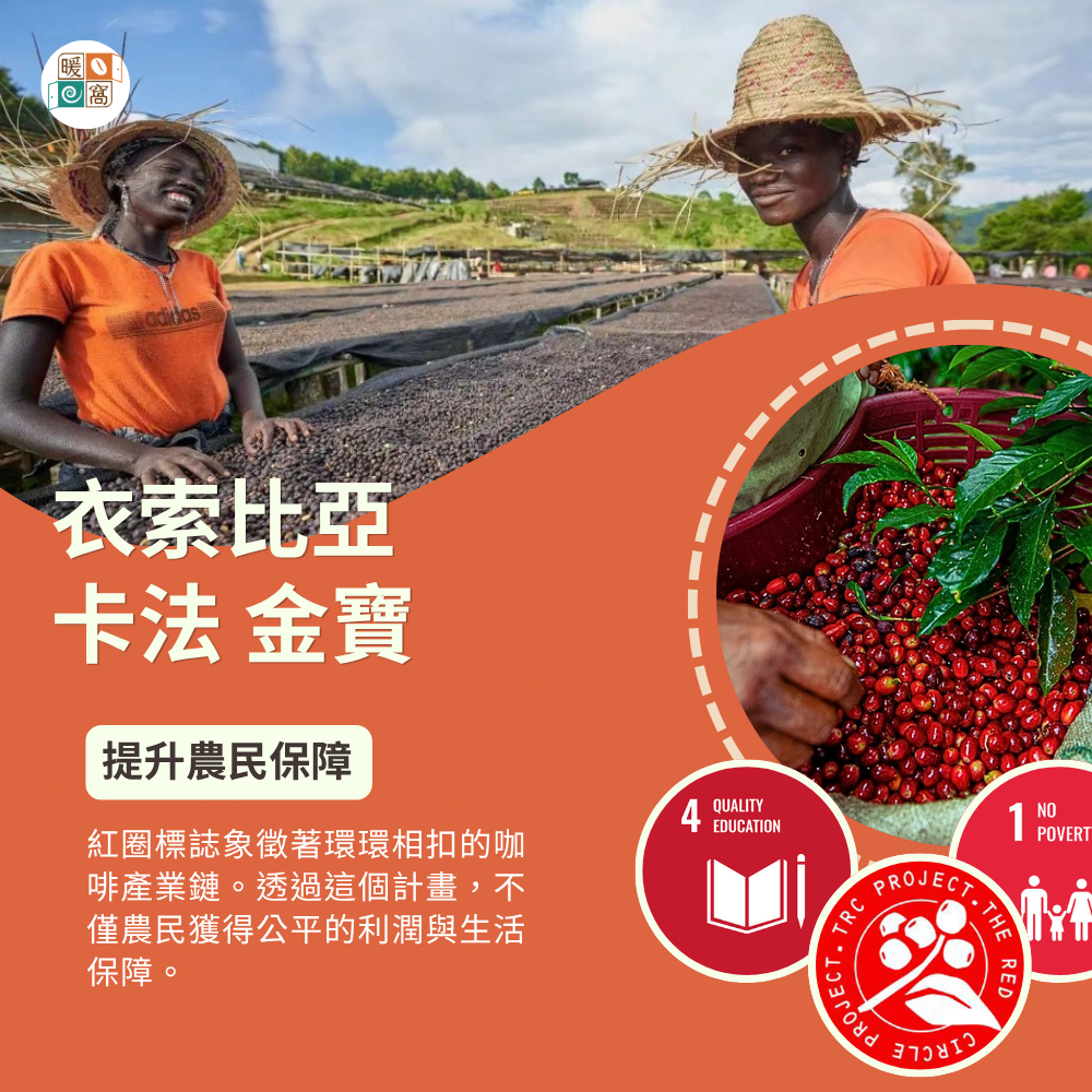 衣索比亞 卡法 金寶 紅圈計畫 咖啡永續實踐