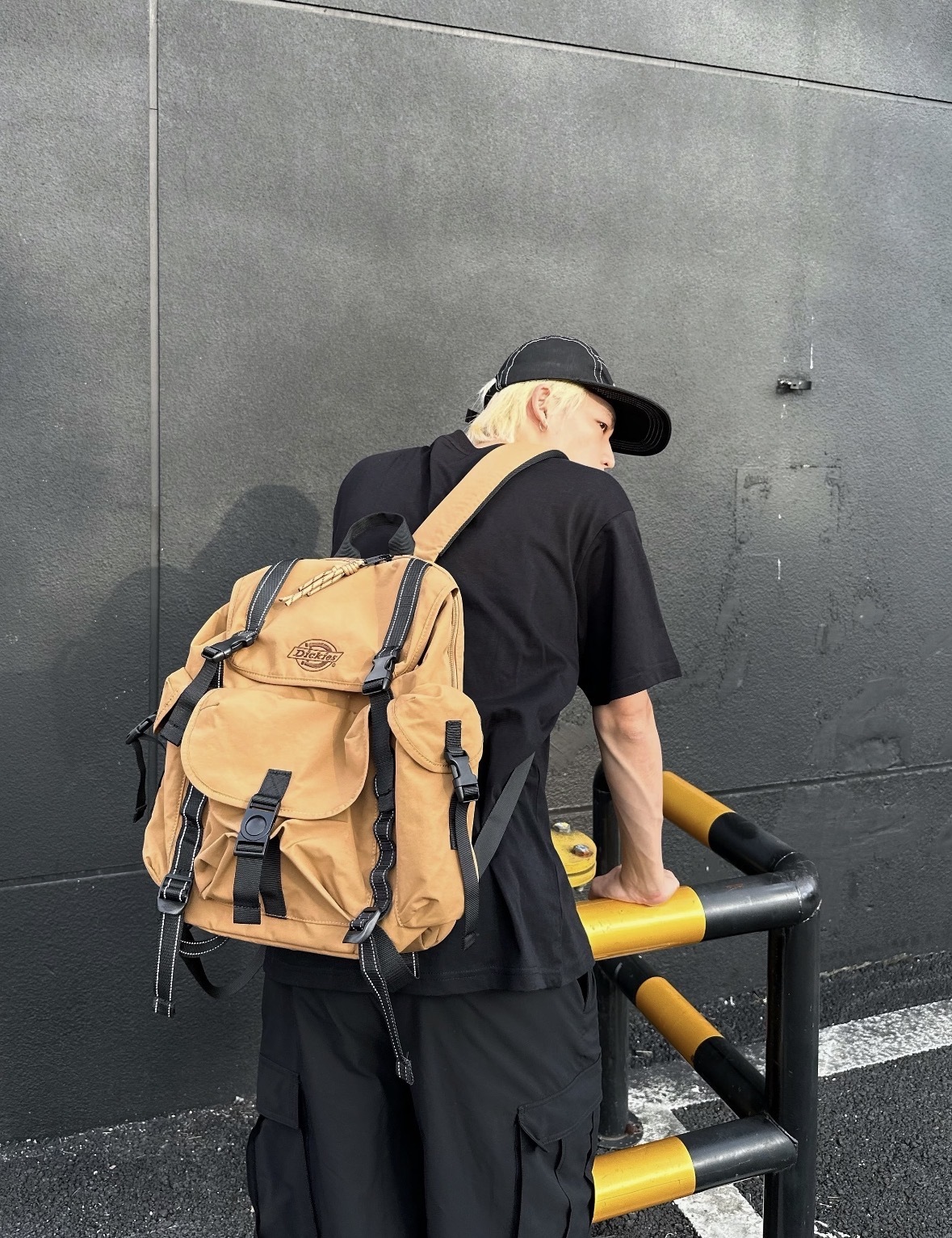 代購-Dickies 休閒山系戶 聚酯纖維 防水 雙肩包背包 男女同款情侶款 DK-B062