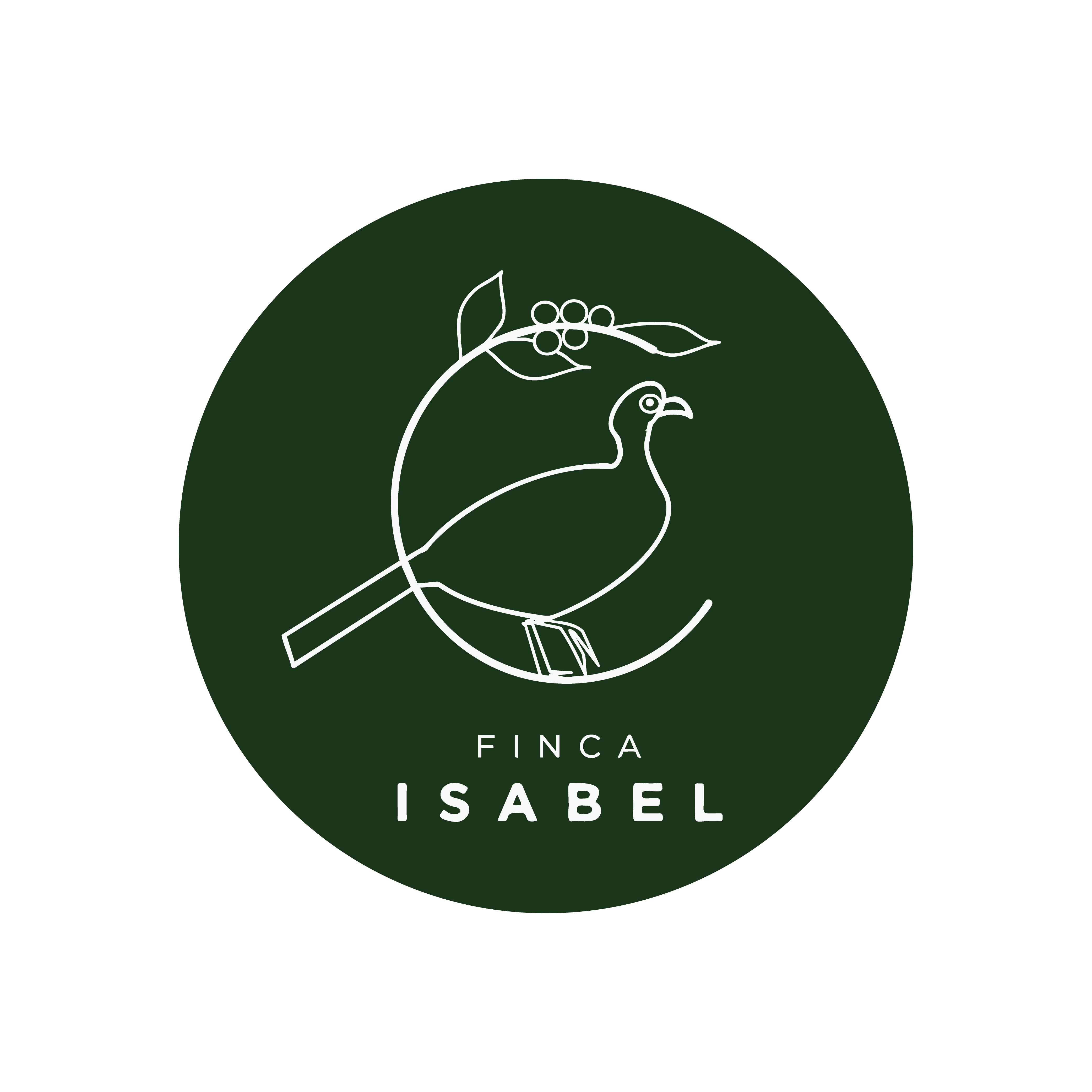 玻利維亞 伊莎貝爾莊園 競標批次 藝妓 水洗 #Tunki ISA03