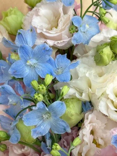 W - Unicorn小飛燕