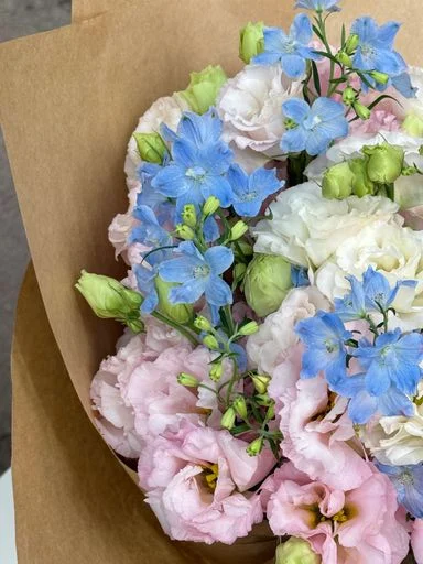 W - Unicorn小飛燕