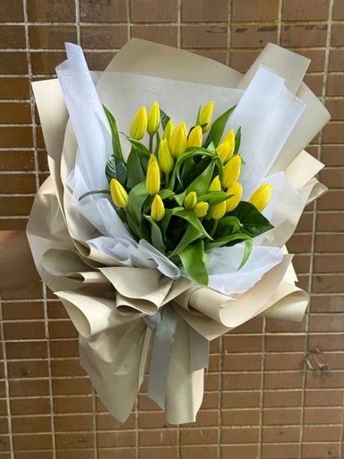 W - 18枝鬱金香_TUP55030