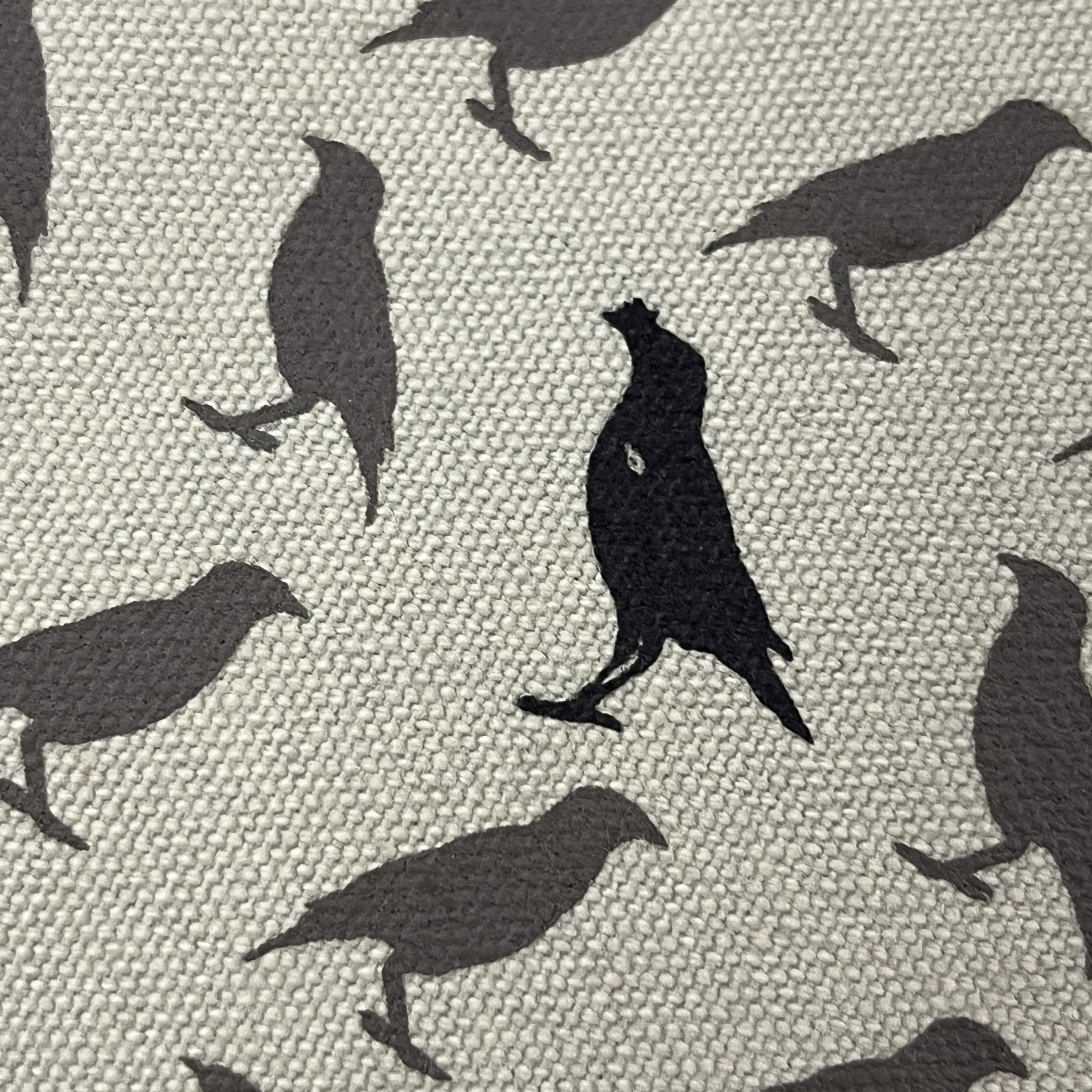 （絕版/微瑕疵）大書衣/消失的台灣八哥/秋香咖啡