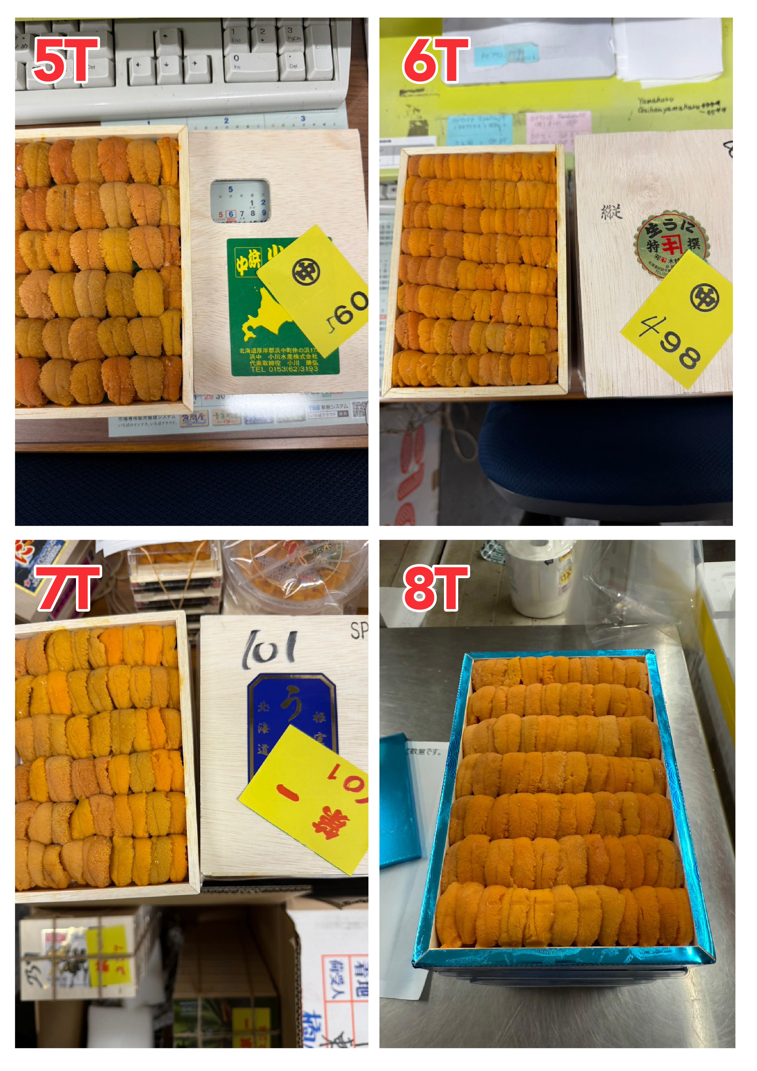 【指定海膽推薦】每天更新 (限即日落單, 翌日送)