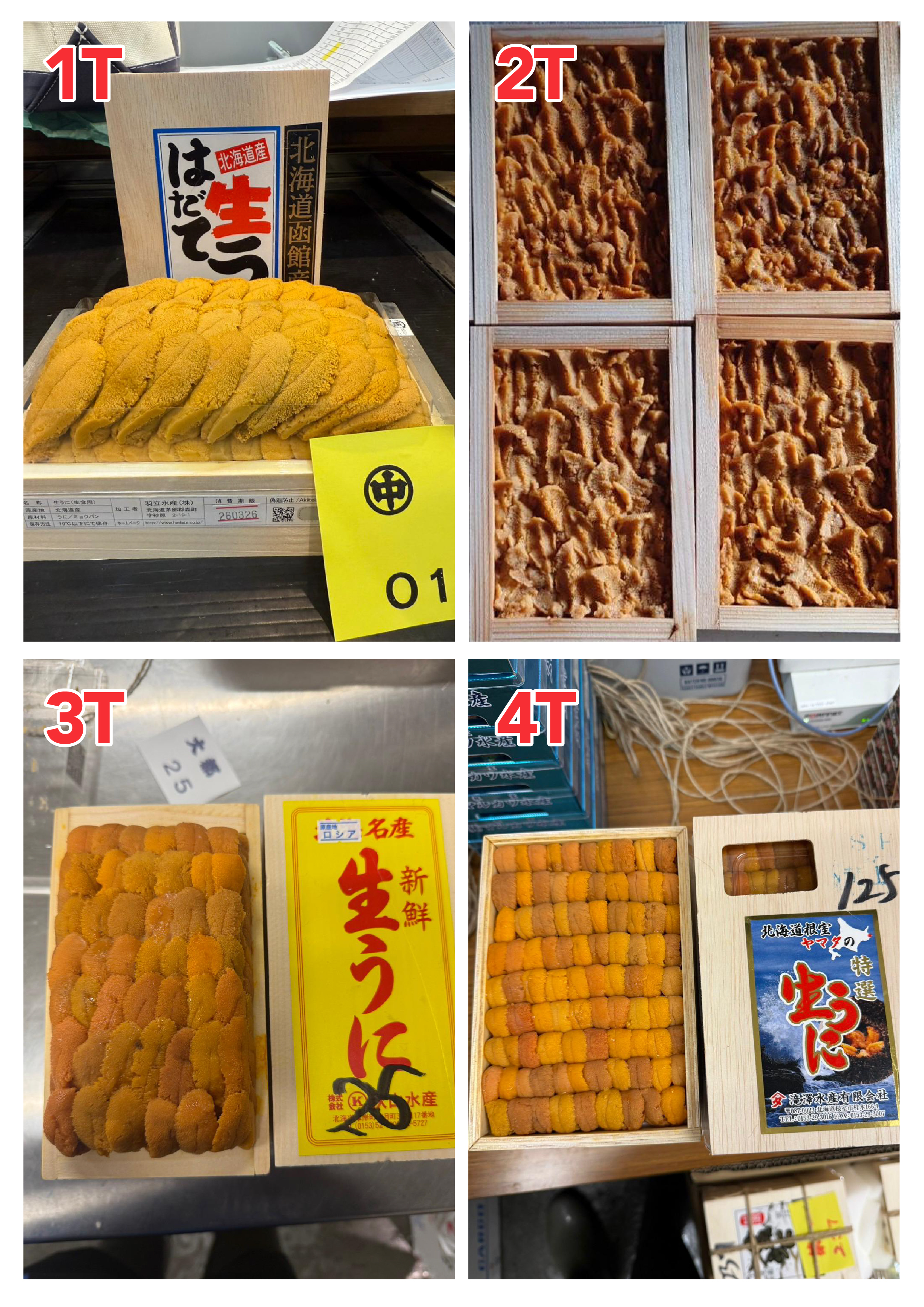 【指定海膽推薦】每天更新 (限即日落單, 翌日送)