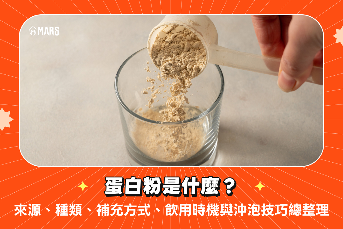 蛋白粉是什麼？來源、種類、補充方式、飲用時機與沖泡技巧總整理