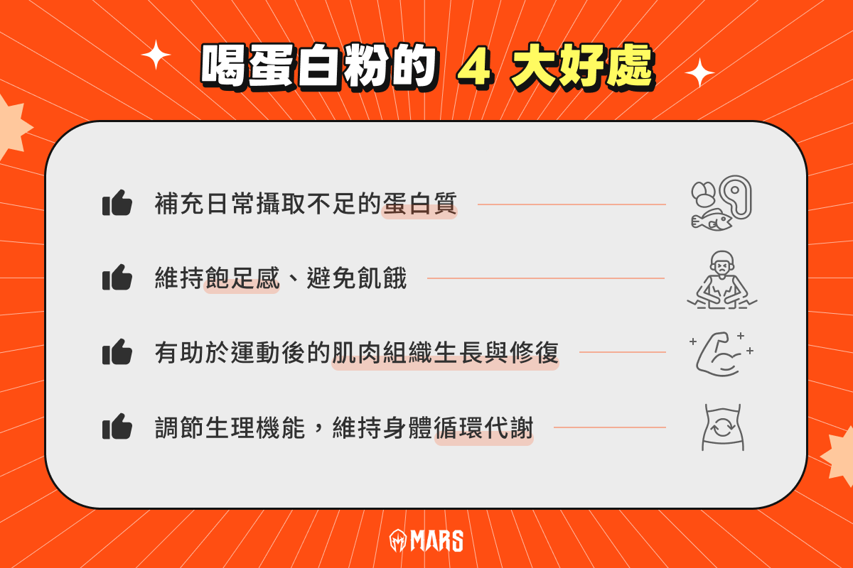 喝蛋白粉的 4 大好處