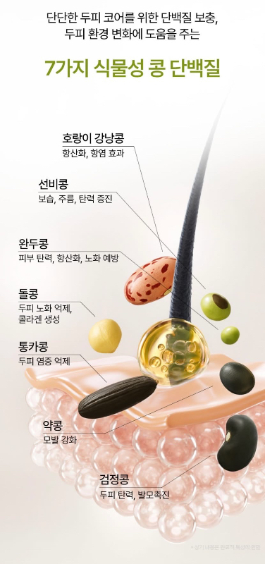 HETRAS 植萃香氛洗髮乳 1013ML