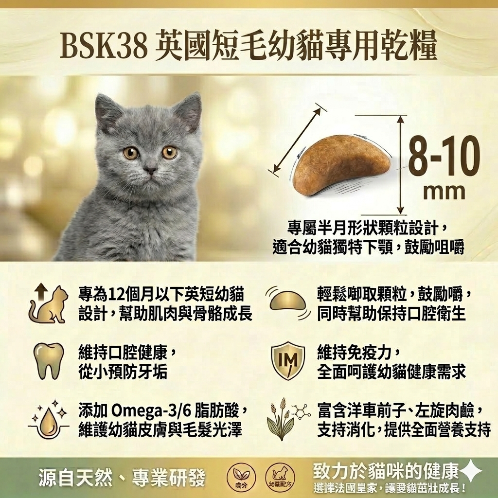 Royal Canin 法國皇家｜皇家品種貓飼料(RD32布偶成貓 BS34英短成貓 BSK38英短幼貓)