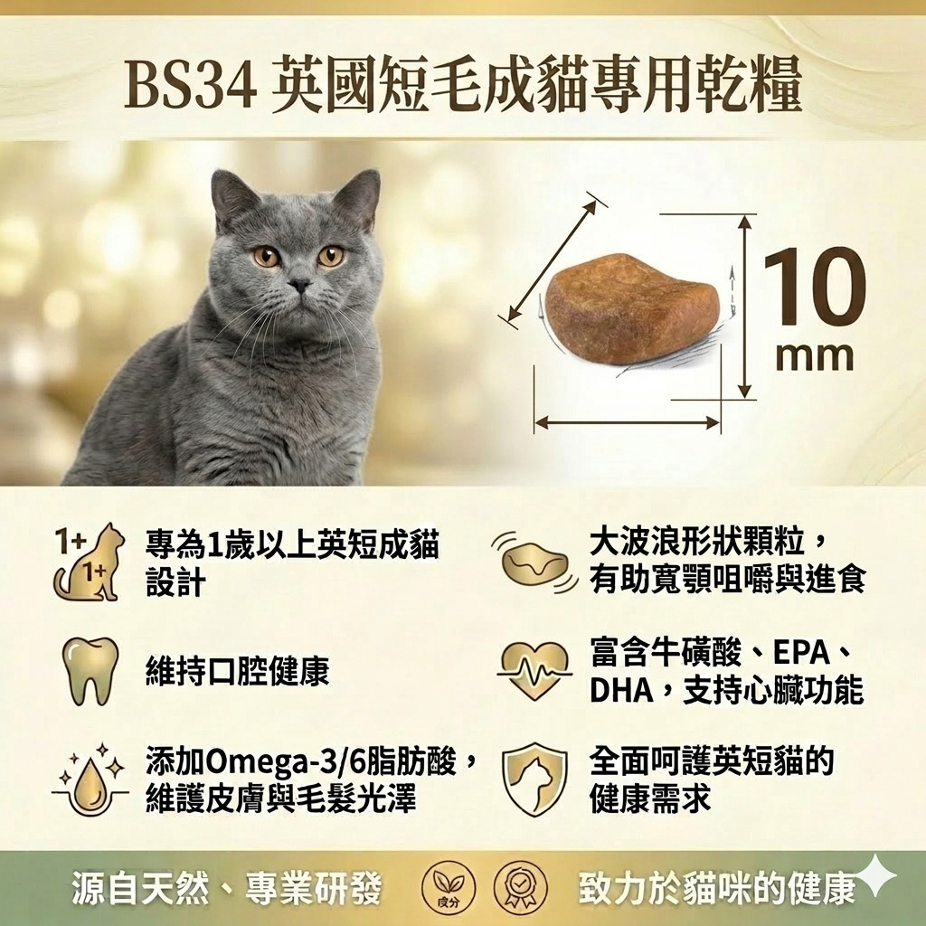 Royal Canin 法國皇家｜皇家品種貓飼料(RD32布偶成貓 BS34英短成貓 BSK38英短幼貓)