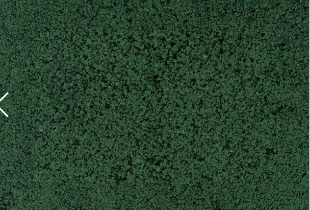 Faller 181624 樹葉，松綠色