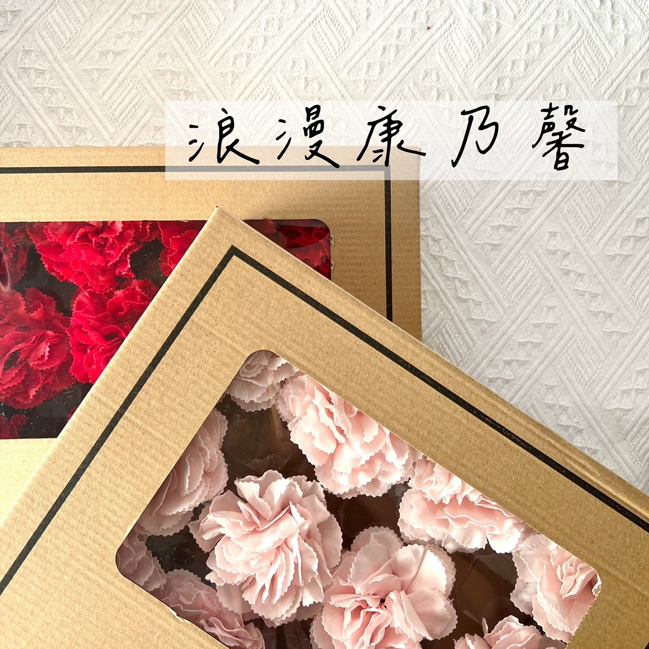 浪漫康乃馨8公分 (16入)