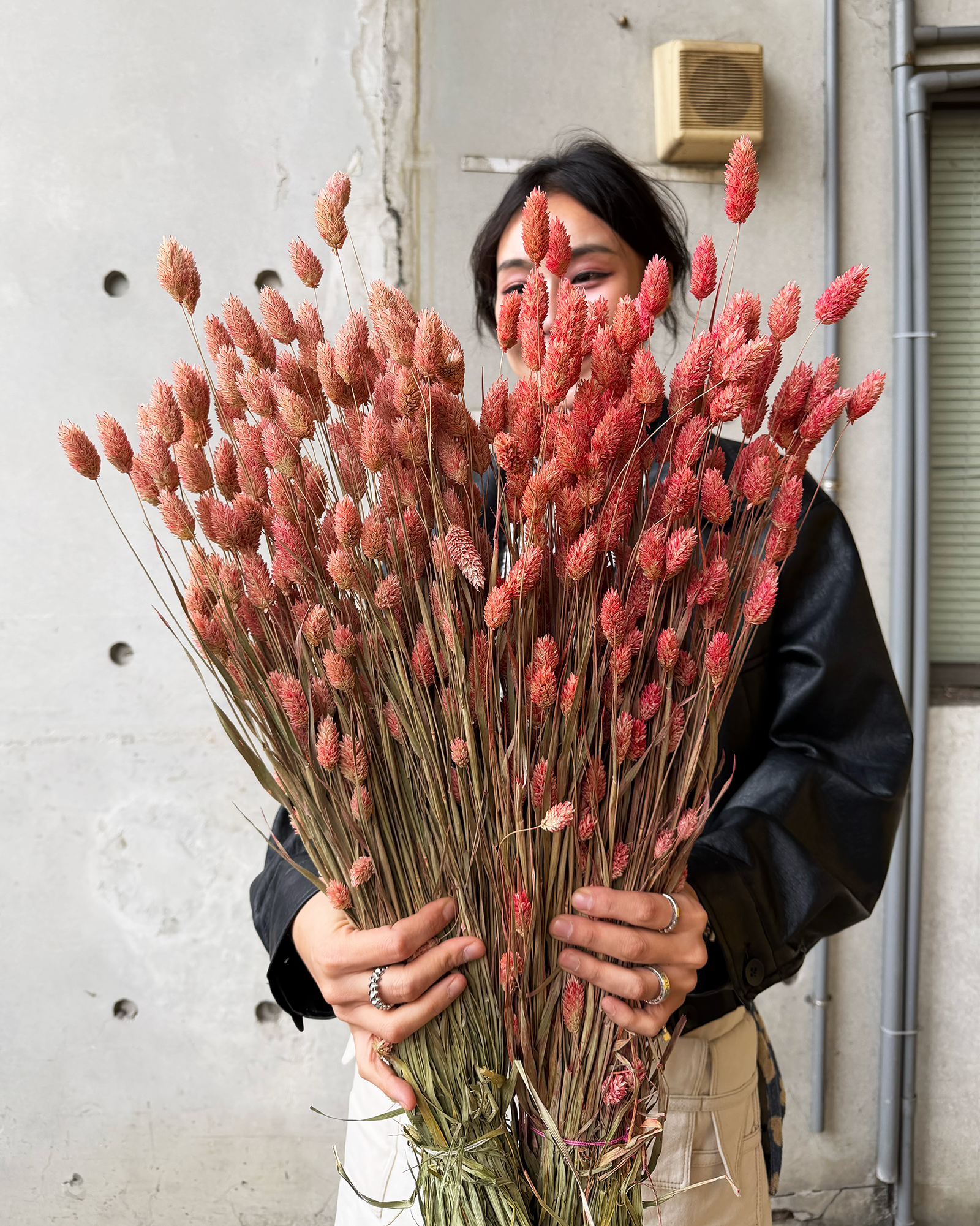 乾燥加那利 (荷蘭)