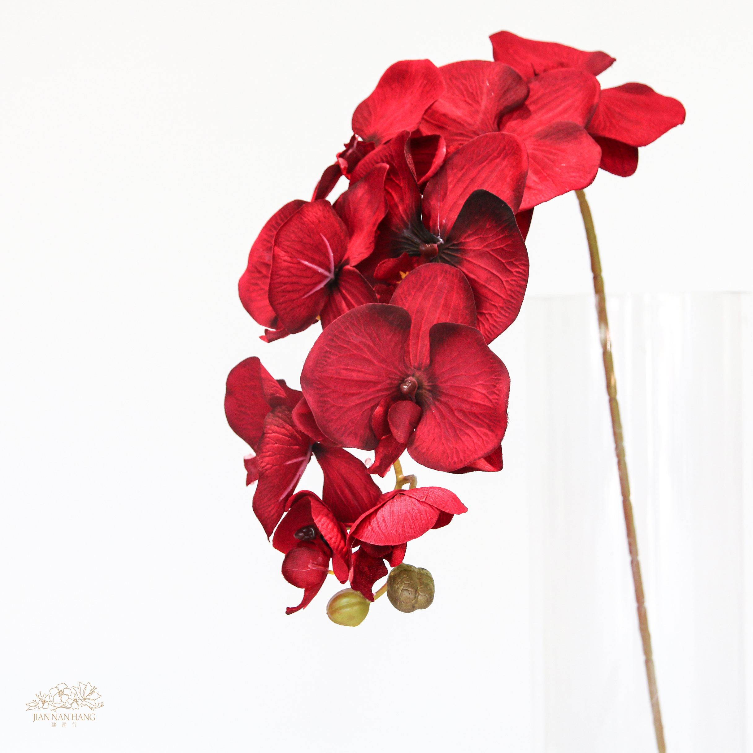 人造花 10頭油畫蝴蝶蘭 4色