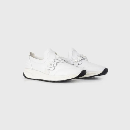 1AF0323-053 [ANNE FONTAINE] Owell Sneakers White #H23A41301 (EU)