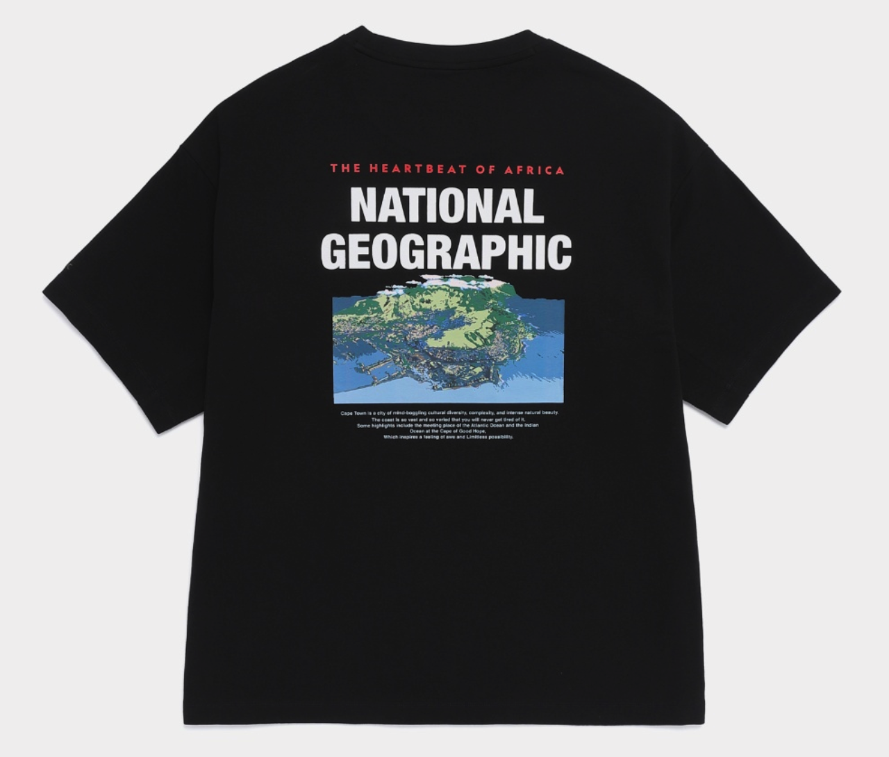 【春季新品限時折扣🔥 3/29 晚上12:00結束】NATIONAL GEOGRAPHIC 國家地理 背後地球板塊 短tee N262MTS580