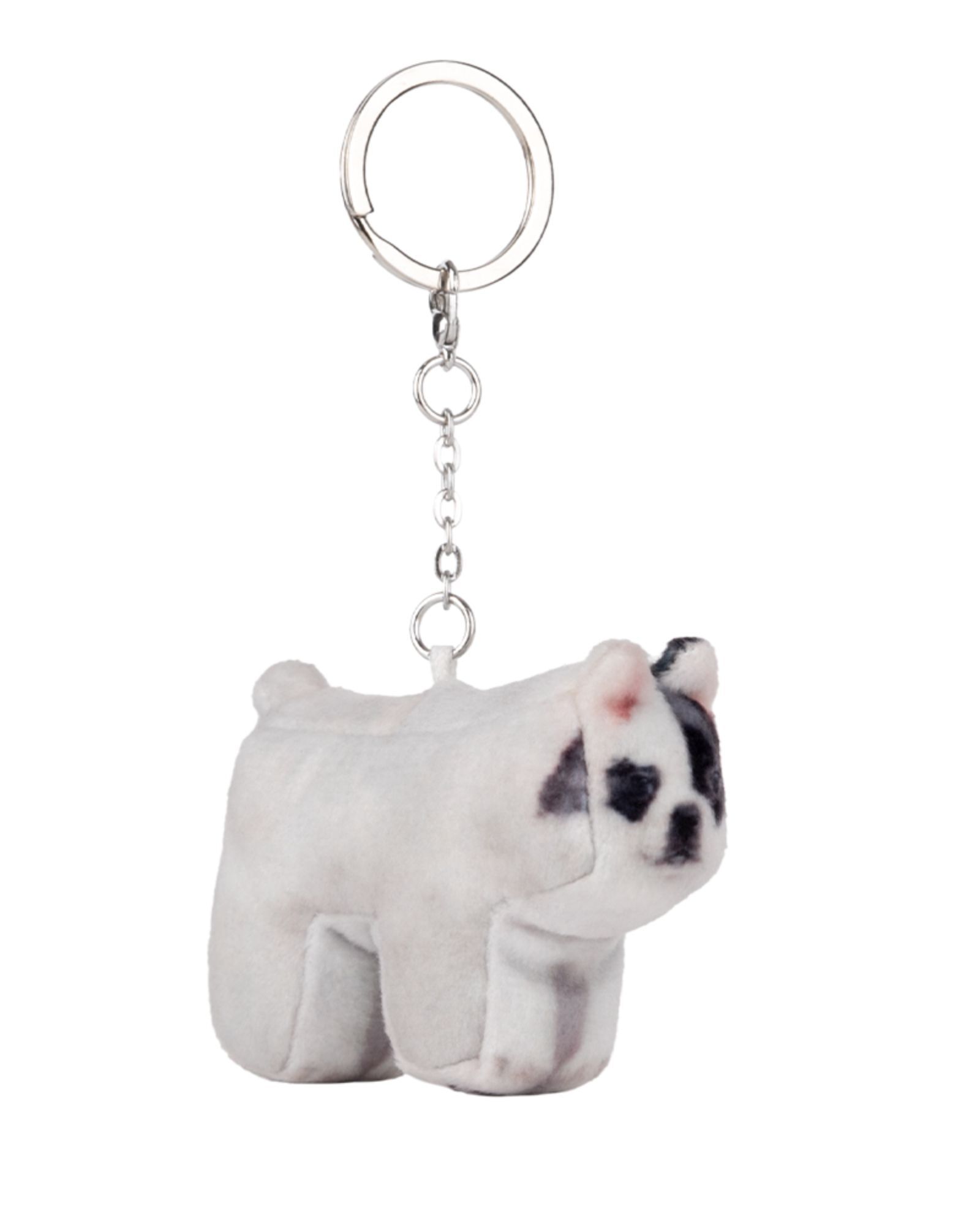 SOFT THUMBNAIL Rocky, Bulldog