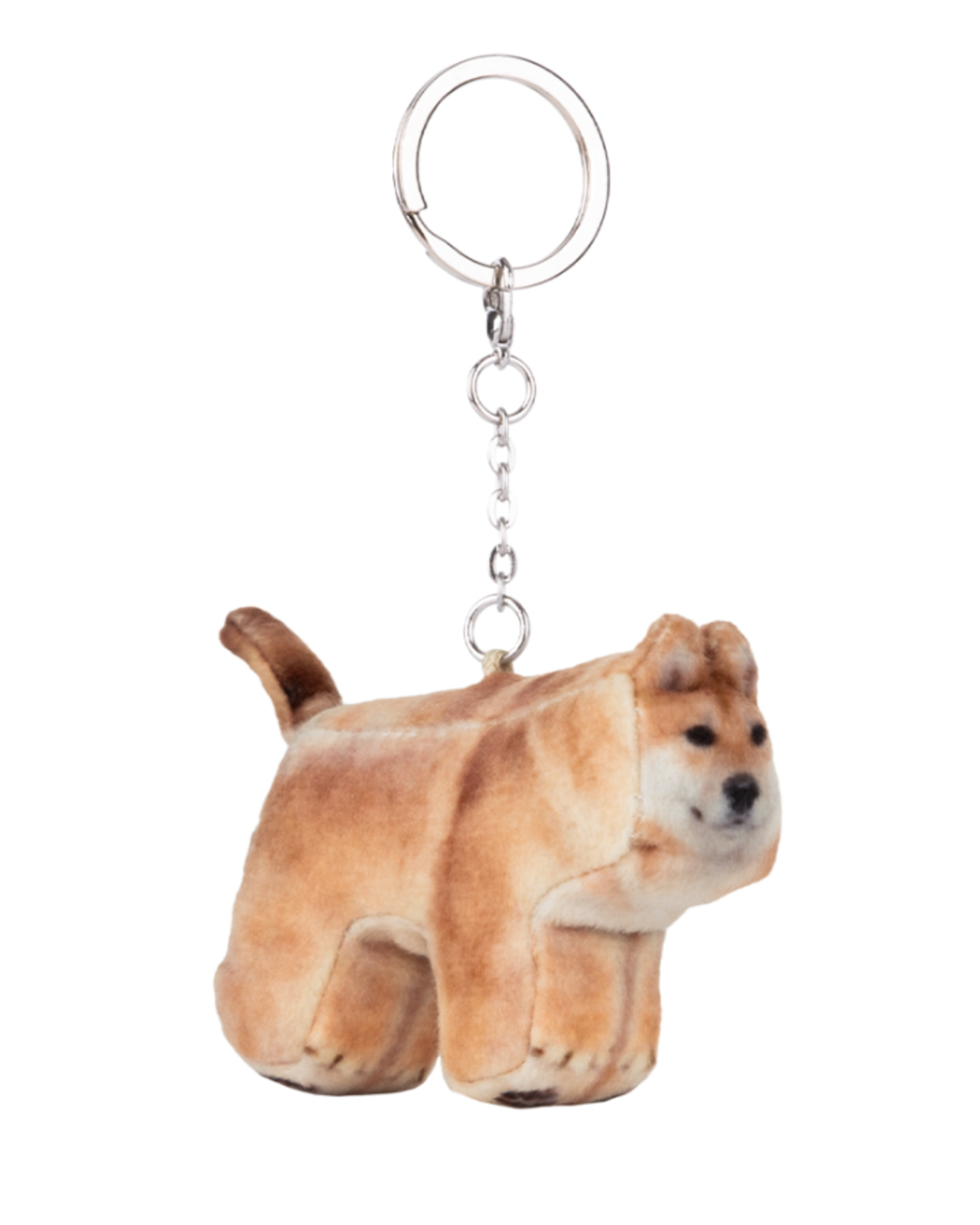 Soft thumbnail Guma, Shiba Inu