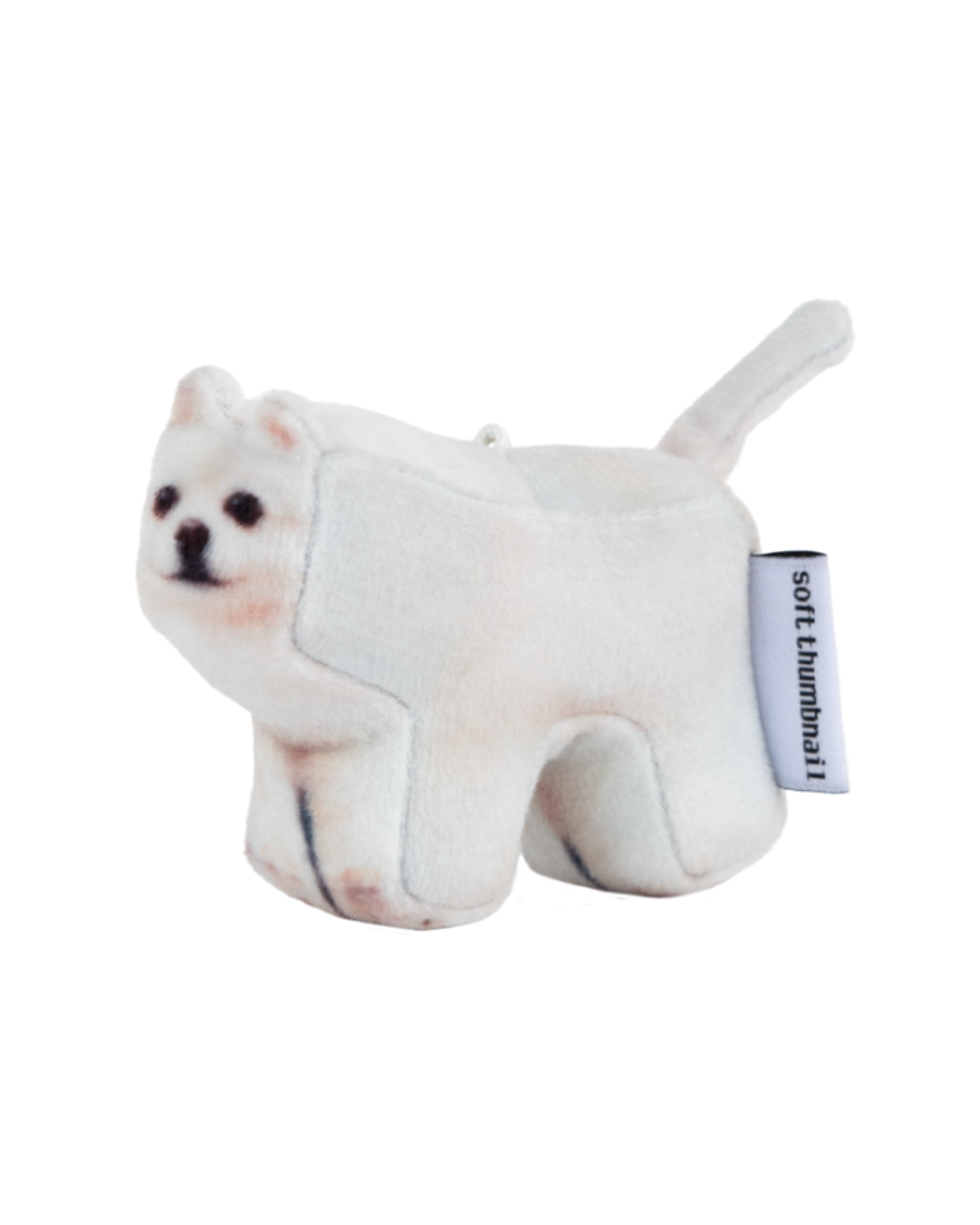 SOFT THUMBNAIL Hodu, Pomeranian