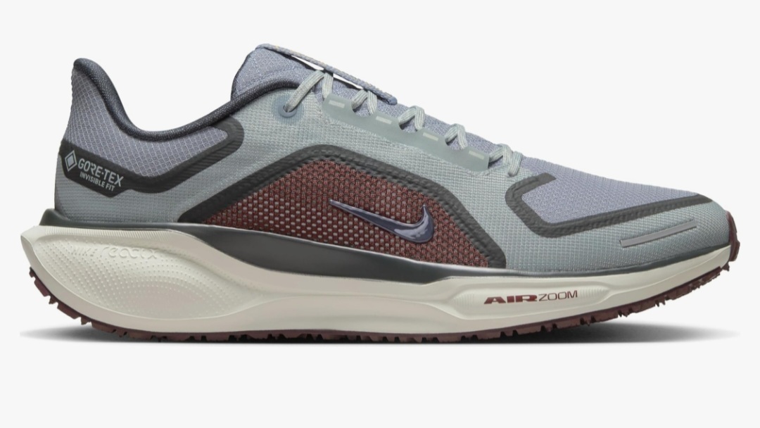 GORE-TEX x NIKE AIR ZM PEGASUS 41 GTX（T10 NI438）